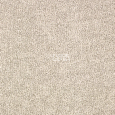 Ковролин AW Sentiment 39 фото 1 | FLOORDEALER